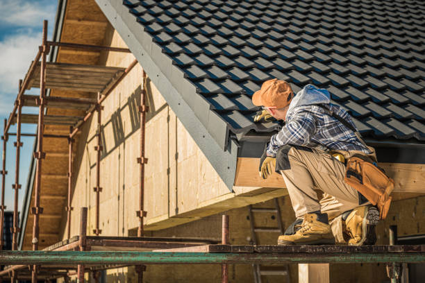 Best Skylight Installation and Repair  in Spring Valley, AZ