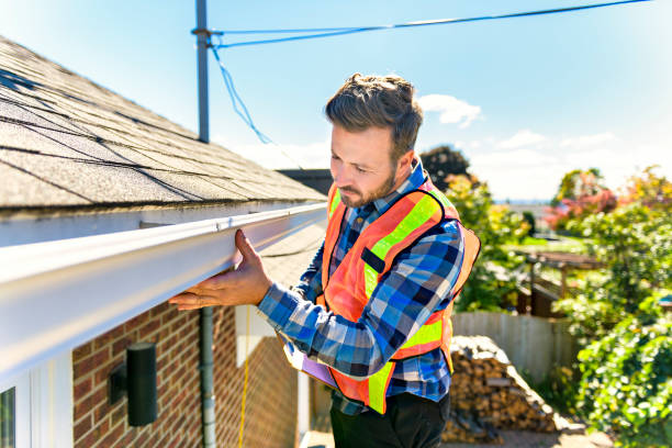 Best Chimney Flashing Repair  in Spring Valley, AZ