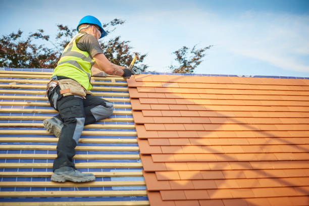 Best Roof Leak Repair  in Spring Valley, AZ