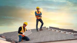 Best Roof Moss and Algae Removal  in Spring Valley, AZ